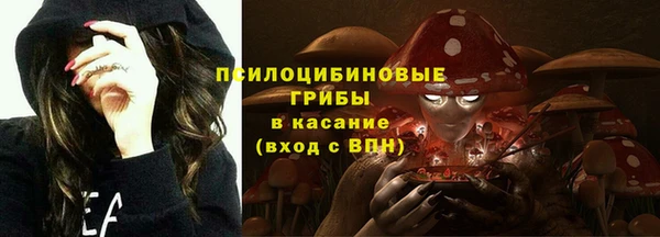 СК Покачи