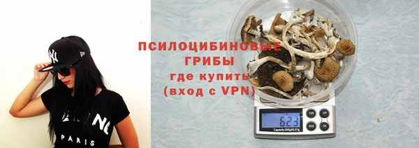 СК Покачи