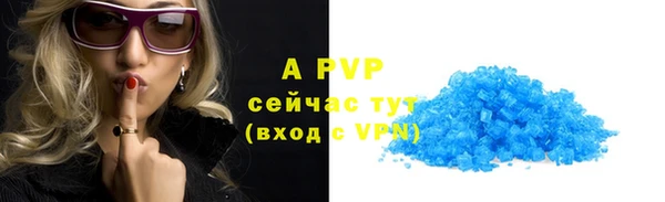 СК Покачи