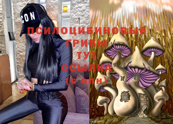 первитин Покров
