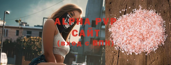 СК Покачи