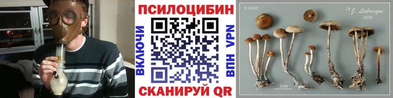 Галлюциногенные грибы мухоморы где можно купить Сим